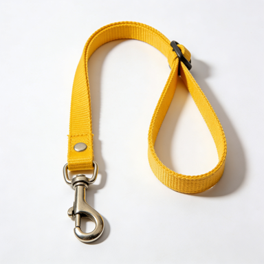 Basic Nylon Adjustable Dog Leash