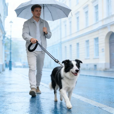 Reflective Nylon Dog Leash with Comfort Padded Handle & Heavy-Duty Swivel Clasp