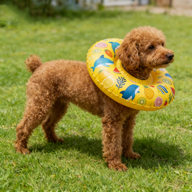 Yellow Ocean & Fruit Elizabeth Collar