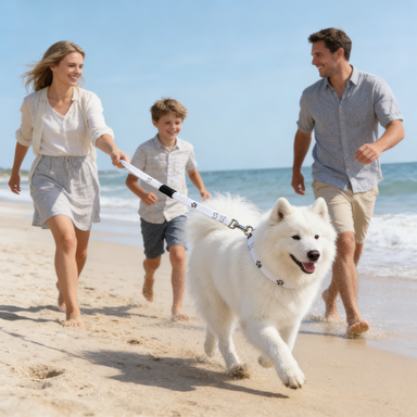 White Paw & Bone Print Nylon Dog Leash