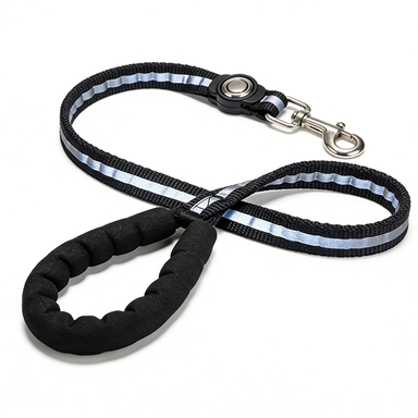 Reflective Nylon Dog Leash with Comfort Padded Handle & Heavy-Duty Swivel Clasp