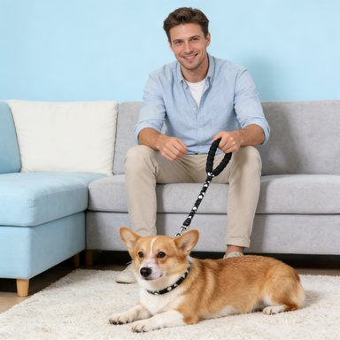 Braided Pattern Dog Leash with Padded Handle & Heavy-Duty Metal Hook