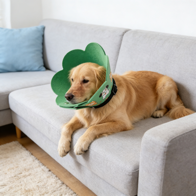 Adorable Flower Pet Recovery Collar – Soft Cone for Wound Protection